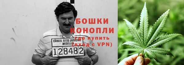 стафф Богородск