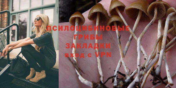 гидропоника Беломорск