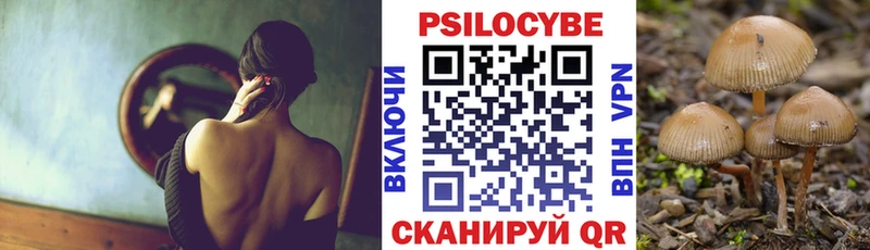 купить закладку  Тында  MEGA рабочий сайт  Псилоцибиновые грибы Psilocybe 