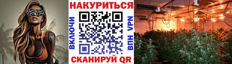 Бошки Шишки план  Тында 